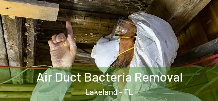  Air Duct Bacteria Removal Lakeland - FL