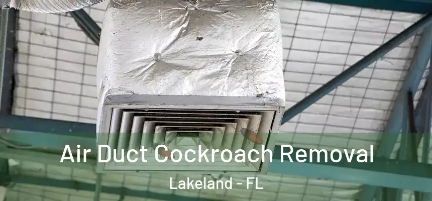  Air Duct Cockroach Removal Lakeland - FL