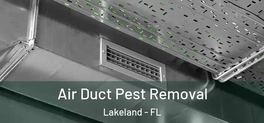  Air Duct Pest Removal Lakeland - FL