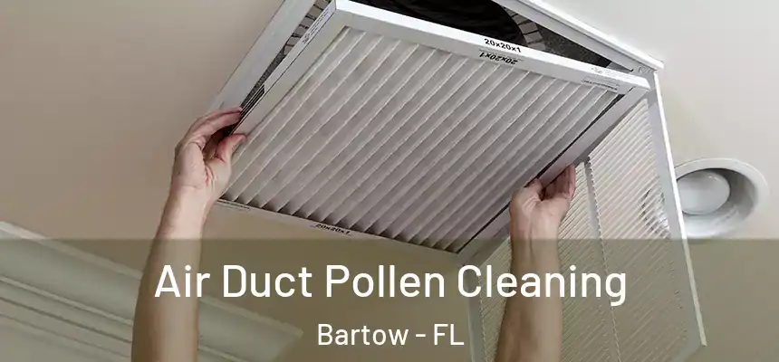 Air Duct Pollen Cleaning Bartow - FL