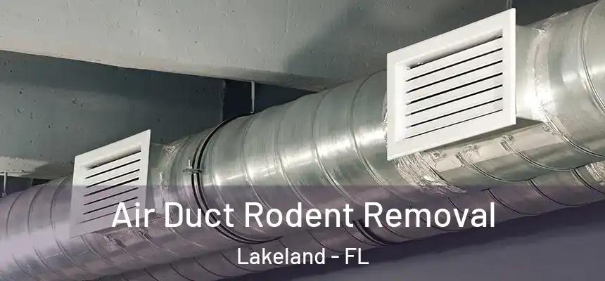  Air Duct Rodent Removal Lakeland - FL