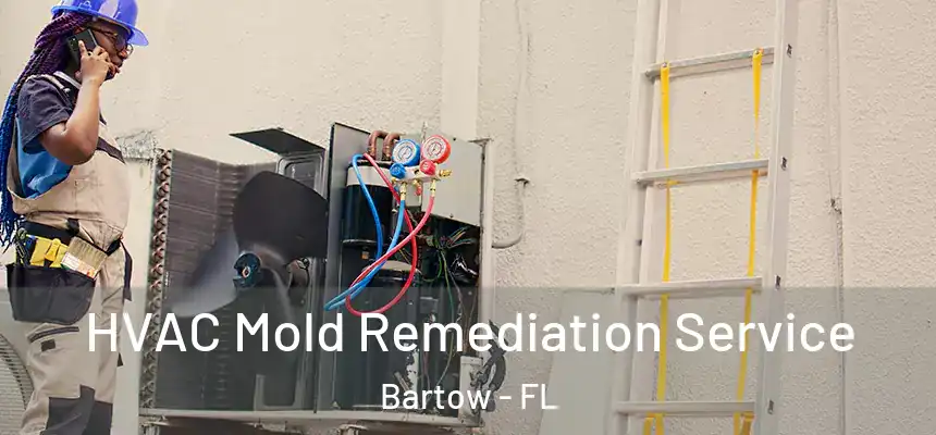 HVAC Mold Remediation Service Bartow - FL