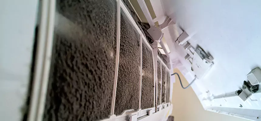 Preventive Air Duct Bacteria Removal in Lakeland