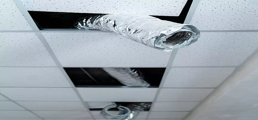 Affordable HVAC Sanitizing After Pest Removal in Bartow