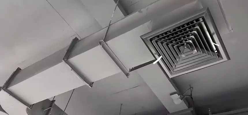 Restorative Allergy Relief Vent Cleaning – Coil, Blower & Housing Detail in Bartow