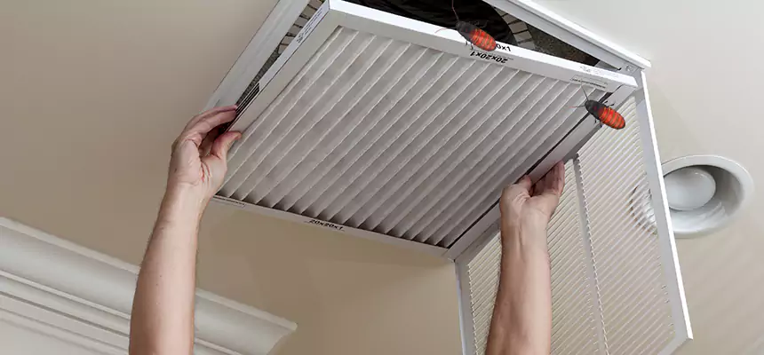 Our Insect Removal from Air Ducts Services in Lakeland, FL