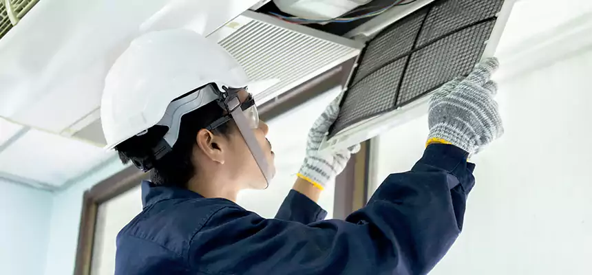 Our Mold & Mildew Removal from Air Ducts Services in Bartow, FL