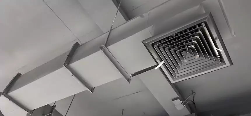 Our Pest Removal From Ducts Services in Lakeland, FL