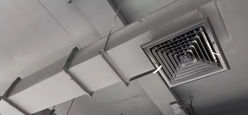 Our Rodent Droppings In Vents Services in Lakeland, FL