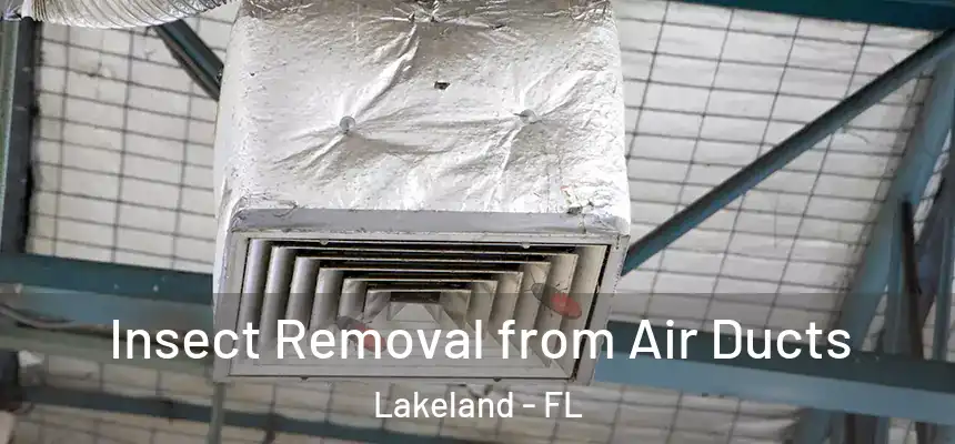 Insect Removal from Air Ducts Lakeland - FL