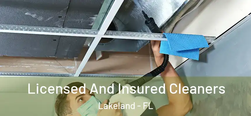 Licensed And Insured Cleaners Lakeland - FL