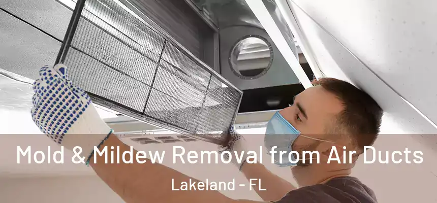  Mold & Mildew Removal from Air Ducts Lakeland - FL
