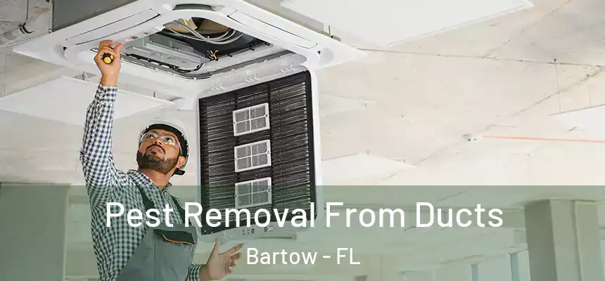 Pest Removal From Ducts Bartow - FL