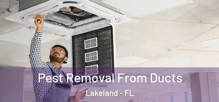 Pest Removal From Ducts Lakeland - FL