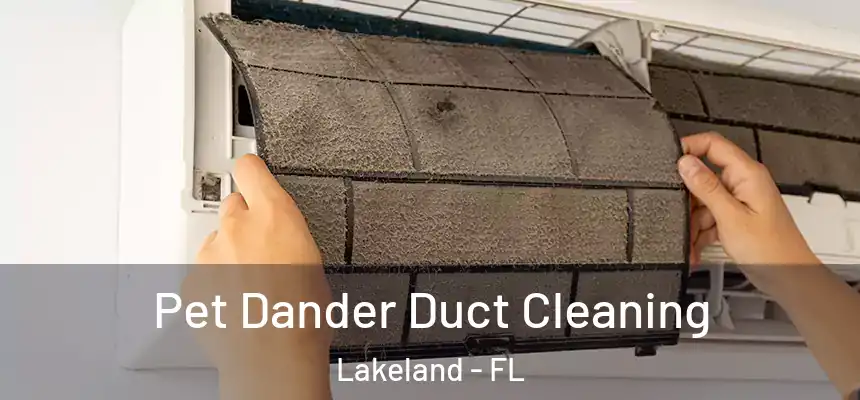  Pet Dander Duct Cleaning Lakeland - FL