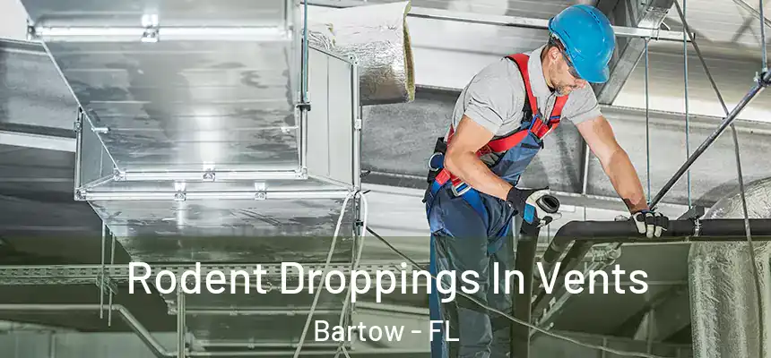 Rodent Droppings In Vents Bartow - FL