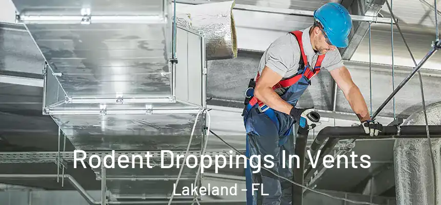  Rodent Droppings In Vents Lakeland - FL