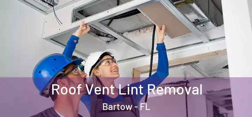 Roof Vent Lint Removal Bartow - FL