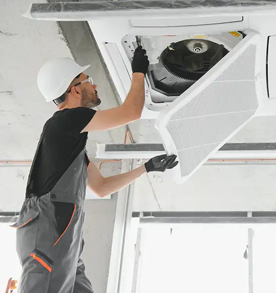 About Air Duct Rodent Removal in Lakeland, FL