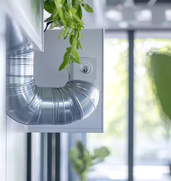 Professional Eco-Friendly Duct Cleaning Services in Lakeland, FL