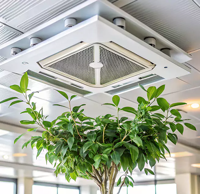 Why Homeowners & Businesses Trust Us in Lakeland, FL