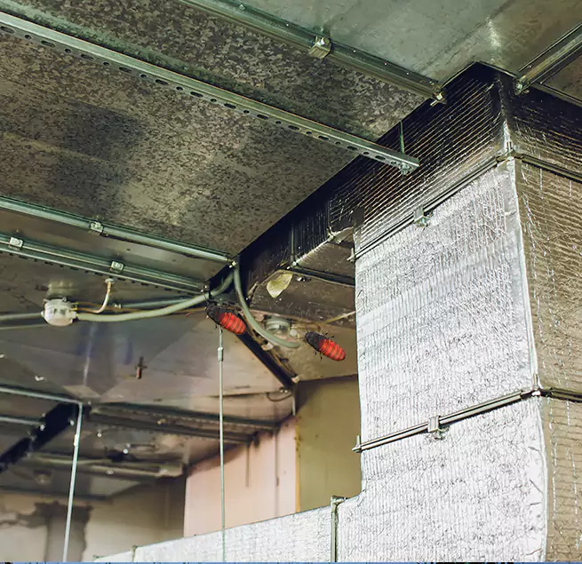 Why Homeowners & Businesses Trust Us Lakeland, FL?