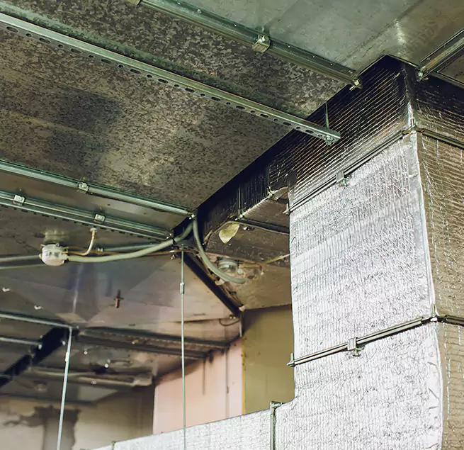 Why Homeowners & Businesses Trust Us in Bartow, FL?