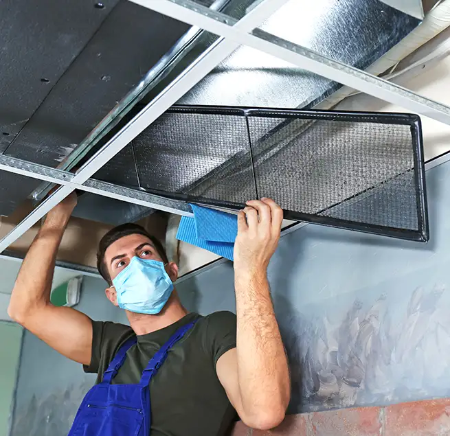 Why Homeowners & Businesses Trust Us in Lakeland, FL?