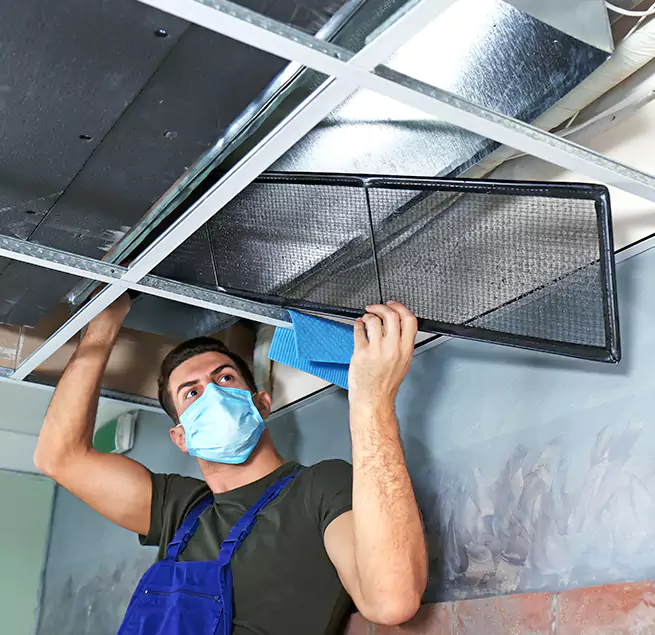 Why Homeowners & Businesses Trust Us in Lakeland, FL?